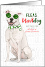 White Pit Bull Funny Fleas Navidog Christmas Custom card