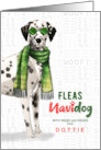 from the Dog Dalmatian Funny Fleas Navidog Christmas Custom card
