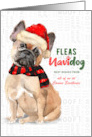 French Bulldog Tan Funny Fleas Navidog Christmas Custom card