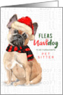 Pet Sitter French Bulldog Funny Fleas Navidog Christmas Custom card