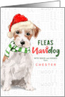 from the Dog Jack Russell Funny Fleas Navidog Christmas Custom card