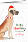Pet Groomer Great Dane Funny Fleas Navidog Christmas Custom card