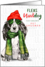 for Groomer Cocker Spaniel Dog Fleas Navidog Christmas Custom card