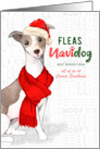 Italian Greyhound Dog Funny Fleas Navidog Christmas Custom card