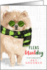 for Pet Groomer Pomeranian Dog Fleas Navidog Christmas Custom card