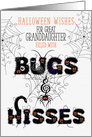 for Young Great Granddaughter Halloween Bugs and Hisses card