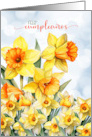 Spanish Birthday Daffodil Garden card