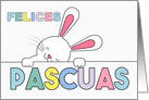 SPANISH Easter Bunny Pastel Hues Blank card