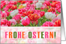 GERMAN Easter Frohe Ostern Pink Tulip Garden card