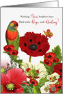 Get Well Lorikeet Parrot and Poppy Garden card