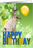 Funny Birthday pets for a Well Balanced Person card