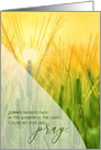 Get Well Pray You are Alright Sunlit Summer Grasses card