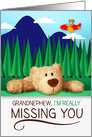 for Young Grandnephew Missing You with Airplane and Teddy Bear card