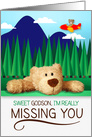 for Young Godson Missing You with Airplane and Teddy Bear card