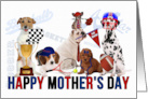 Mother’s Day Sport Themed Dogs of All Sizes for the Dog Lover card