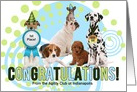Dog Agility Congratulations Five Dogs Celebrating with Name Blank card