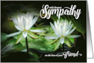 Loss of a Friend Sympathy White Waterlilies card