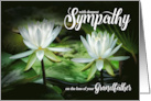 Loss of a Grandfather Sympathy White Waterlilies card