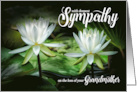 Loss of a Grandmother Sympathy White Waterlilies card