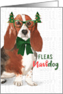 Funny Christmas Basset Hound Fleas NaviDOG Pet Lover Holiday card