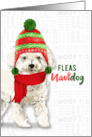 Funny Christmas Bichon Frise Fleas NaviDOG Dog Lover’s Holiday card