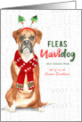 Business Christmas Boxer Dog Funny Fleas NaviDOG with Name card