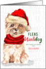 From the Dog Christmas Cairn Terrier Funny Fleas NaviDOG Custom card