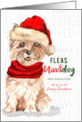Business Cairn Terrier Christmas Dog Funny Fleas NaviDOG Custom card