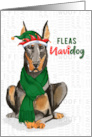 Funny Christmas Doberman Fleas NaviDOG Pet Lover Holiday card