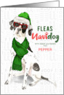From the Dog Christmas English Pointer Funny Fleas NaviDOG Custom card