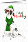 Funny Christmas English Pointer Fleas NaviDOG Pet Lover Holiday card