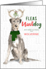 From the Dog Christmas Irish Wolfhound Fleas NaviDOG Custom card