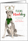 Business Irish Wolfhound Fleas Navidog Christmas Dog Custom card