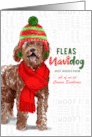 Business Labradoodle Fleas Navidog Christmas Dog Custom card