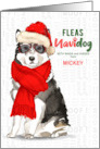 From the Dog Christmas Malamute Funny Fleas NaviDOG Custom card
