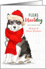 Business Malamute Fleas Navidog Christmas Dog Custom card