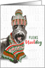 Funny Christmas Scottish Terrier Fleas NaviDOG Pet Lover Holiday card