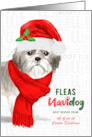 Business Imperial Shih Tzu Fleas Navidog Christmas Dog Custom card