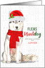 From the Dog Christmas Siberian Husky Fleas NaviDOG Custom card