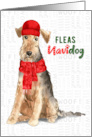 Funny Christmas Welsh Terrier Fleas NaviDOG Pet Lover Holiday card