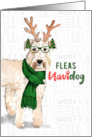 Funny Christmas Wheaten Terrier Fleas NaviDOG Pet Lover Holiday card