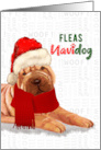 Funny Christmas Chinese Shar Pei Fleas NaviDOG Pet Lover Holiday card