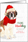 Business Saint Bernard Fleas Navidog Christmas Dog Custom card