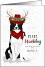 From the Dog Christmas Border Collie NaviDOG Custom card