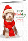 Business Sheepdog Fleas Navidog Christmas Dog Custom card