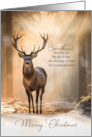 for Life Partner Christmas Reindeer Sunlit Snowy Forest card