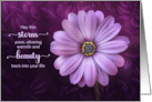 Get Well Purple Daisy and Tender Wishes of Healing card