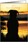 I’m Sorry Dog Silhouette by a Sunset Lake card