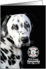 Sympathy Loss of a Firehouse Dog Dalmatian on Black card
