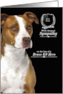 Sympathy Loss of a Police K9 Officer American Pit Bull Terrier card
